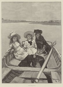 Compañeros de Barco