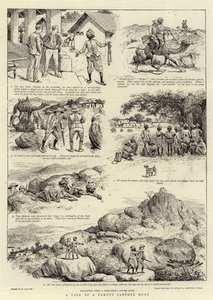 Historia de una famosa cacería de panteras de William Ralston