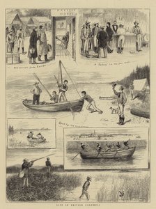 Vida en Columbia Británica