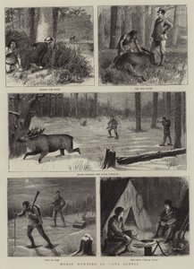 Caza de Alces en Nueva Escocia