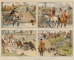 La historia completa y veraz de un zorro y un cepillo (cromolitografía)