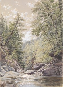 Catskill Clove en Palingsville de William Rickarby Miller