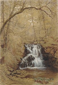 Cataratas indias, Indian Brook, Cold Springs, Nueva York, 1850 de William Rickarby Miller
