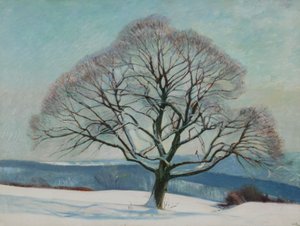 Árbol en invierno