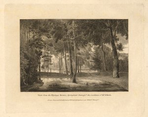 The County Seats of the United States of North America, juego de 20 láminas, texto introductorio y 2 portadas