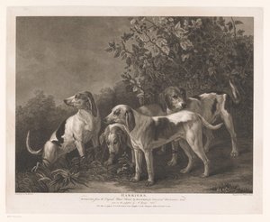 cuatro perros de caza Harriers (título sobre el objeto)