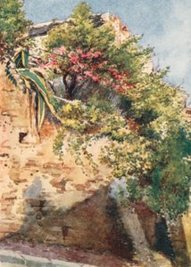 Un rincón de la calle, Cagnes (litografía en color)
