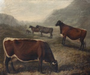  de William Shiels