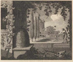 Las abejas degeneradas