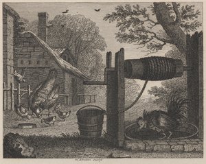 La gallina vieja y el gallo