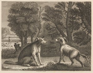 El perro pastor y el lobo de William Skelton