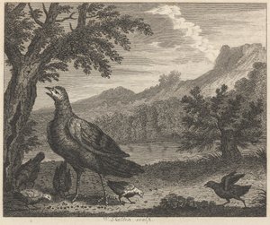 El pavo y la hormiga de William Skelton