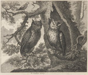 Los dos búhos y el gorrión de William Skelton