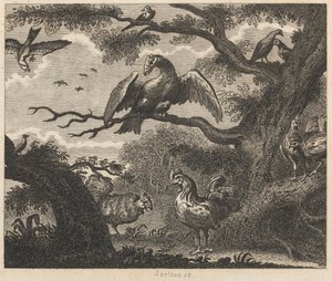 El buitre, el gorrión y otras aves de William Skelton