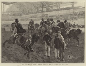 La Exposición de Caballos de Islington, juzgando Cazadores de Peso