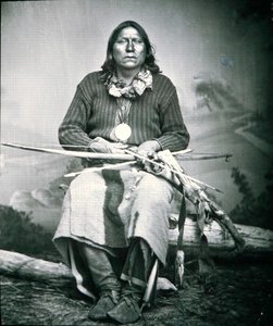 Oso Blanco de William Soule