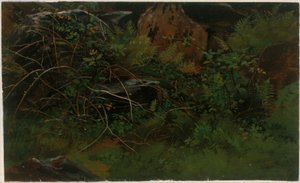 Estudio del natural de William Stanley Haseltine