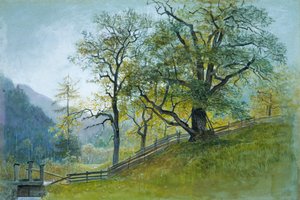 Vahrn en Tirol cerca de Brixen de William Stanley Haseltine