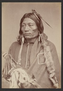 Pacer [Peso, Essa-queta: Jefe Kiowa Nde]. de William Stinson Soule