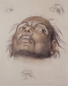 Estudio de la Cabeza de un Indio Oriental, c.1875 de William Strutt