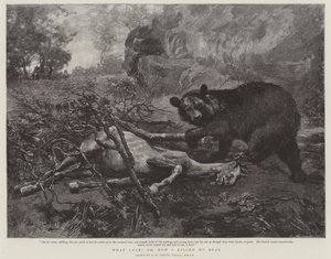 ¡Qué suerte! o, Cómo maté a mi oso de William Strutt