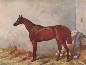 Hermit: ganador del Derby Stakes en Epsom, 1867, 1903 de William Summers