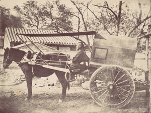 Pekin-car, 1867 de William Thomas Saunders