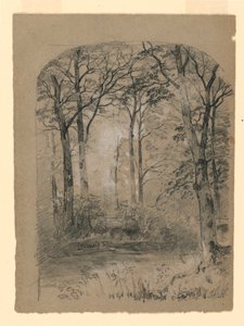 Paisaje