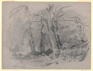 Paisaje, Meiringen, Suiza de William Trost Richards