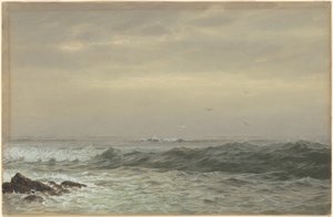 Rocas y olas rompiendo