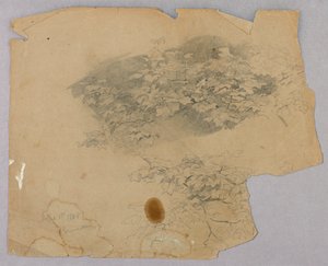 Estudio de follaje de William Trost Richards