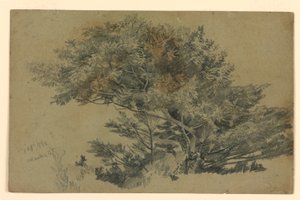 Estudio de Follaje de William Trost Richards