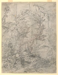 Estudio de follaje de William Trost Richards