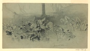 Estudio de follaje de William Trost Richards