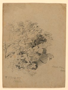 Estudio de follaje de William Trost Richards