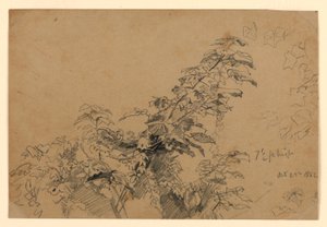 Estudio de follaje de William Trost Richards