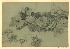 Estudio de follaje de William Trost Richards