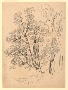 Estudio de follaje, Trachselwald, Berna, Suiza de William Trost Richards