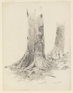 Troncos de Árboles, Darmstadt