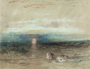 Atardecer sobre el mar con gallinetas