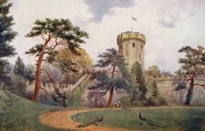 Castillo de Warwick: Guy