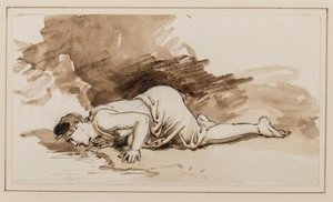 Narciso
