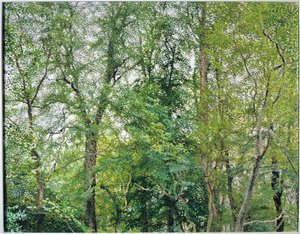 La plantación Jubilee de William Wilkins
