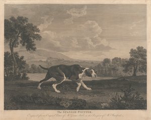[El puntero español de William Woollett