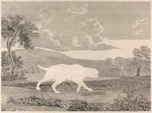 [El puntero español de William Woollett