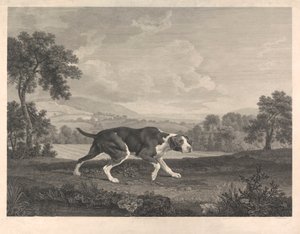 El puntero español de William Woollett