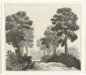 Paisaje con árboles a lo largo de un camino. de William Young Ottley