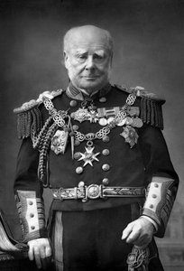 Almirante de la Flota Sir Henry Keppel 1809-1904, 1893 de William and Daniel Downey