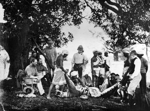 Desollando al tigre, c.1870s