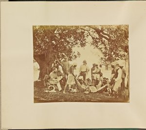 [Tiger Carcass] de Willoughby Wallace Hooper